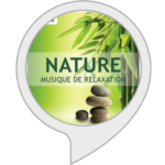 Nature zen : sons relaxants pour dormir avec Alexa Echo