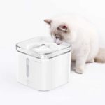 Test de la fontaine à eau chien et chat PetKit Eversweet 3