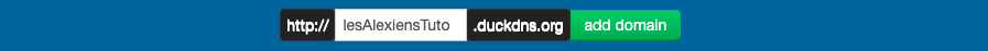 Choisir une sous-domaine DuckDNS