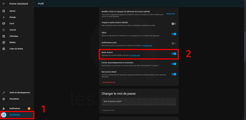 Activer le mode avancé de Home Assistant 2024.01