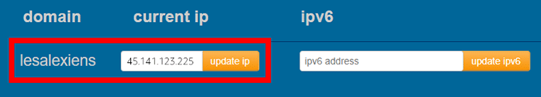 Vérifiez votre adresse IP dans DuckDNS