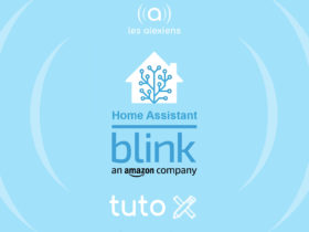 Tuto pour ajouter ses caméras Blink à Home Assistant