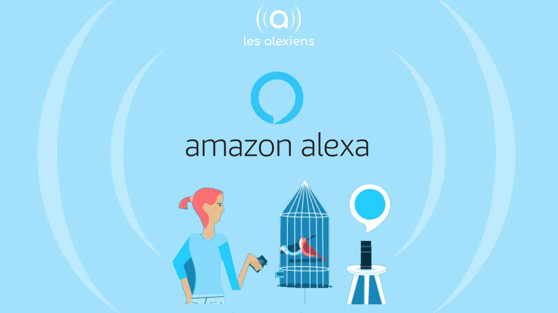 Alexa Blueprints : créez vos skills en quelques minutes ! – Les Alexiens