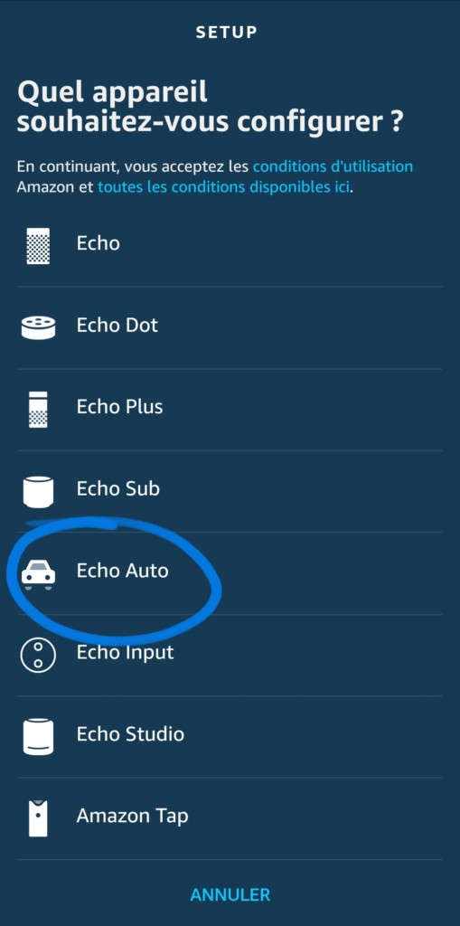 Installation Echo Auto