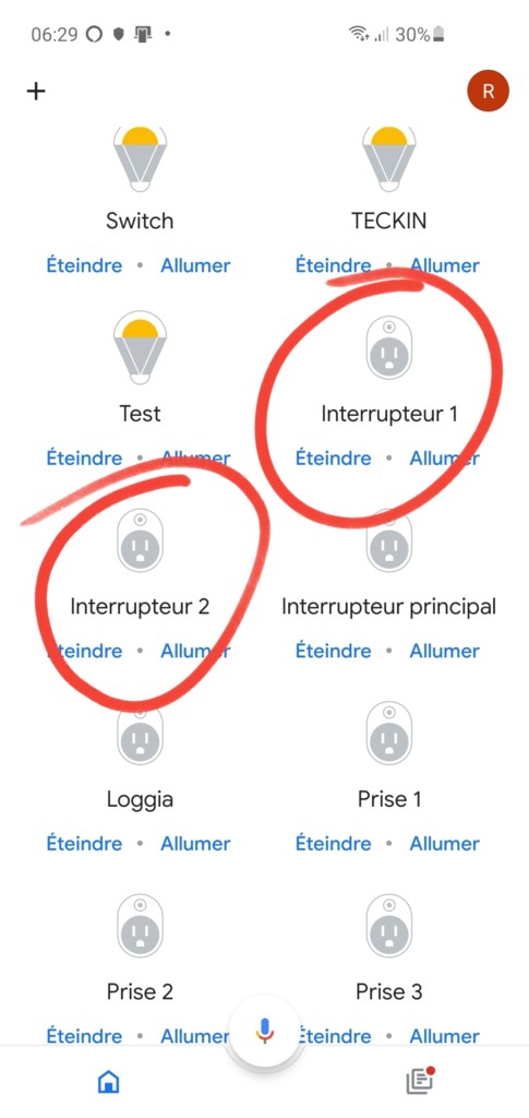 La double prise remonte comme 3 interrupteurs sur Google Home