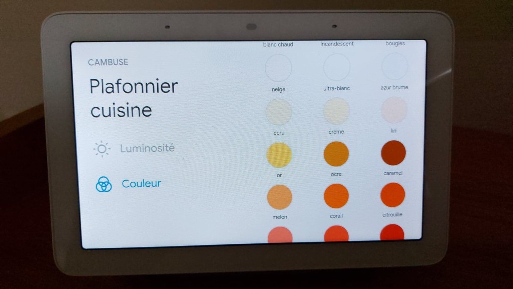 Plafonnier LSC sur Google Nest Hub