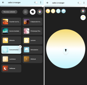 Une lampe de jardin compatible Philips Hue