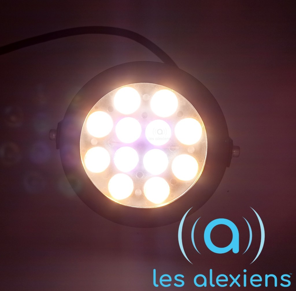Un bel éclaraige de jardin connecté