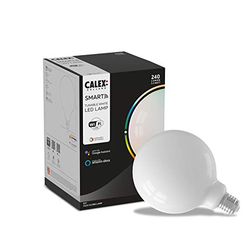 Calex Smart Globe Lamp G125 culot E27