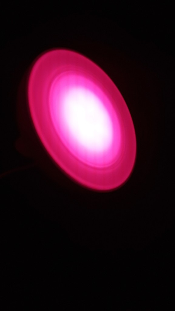 photo Philips Hue Bloom rouge