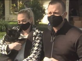 Alexa Guard permet à un couple de sauver son chien d'un incendie