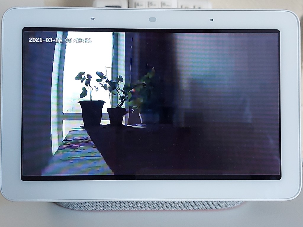 Image de a Caméra TECKIn TC10 sur un appareil Google Nest Hub