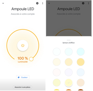 Application Google Home et intégration amploule connectée ZigBee E 27 Livarno Lux