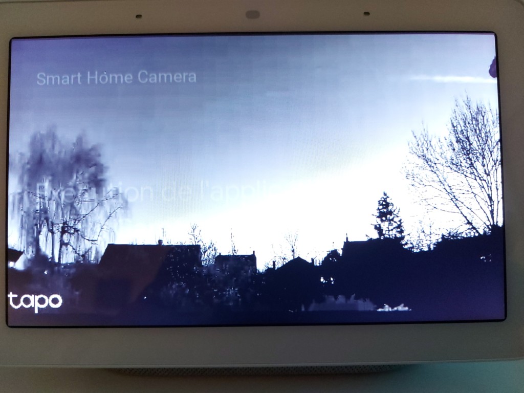 Nest Hub affichage de nuit de la caméra connectée Tapo C310