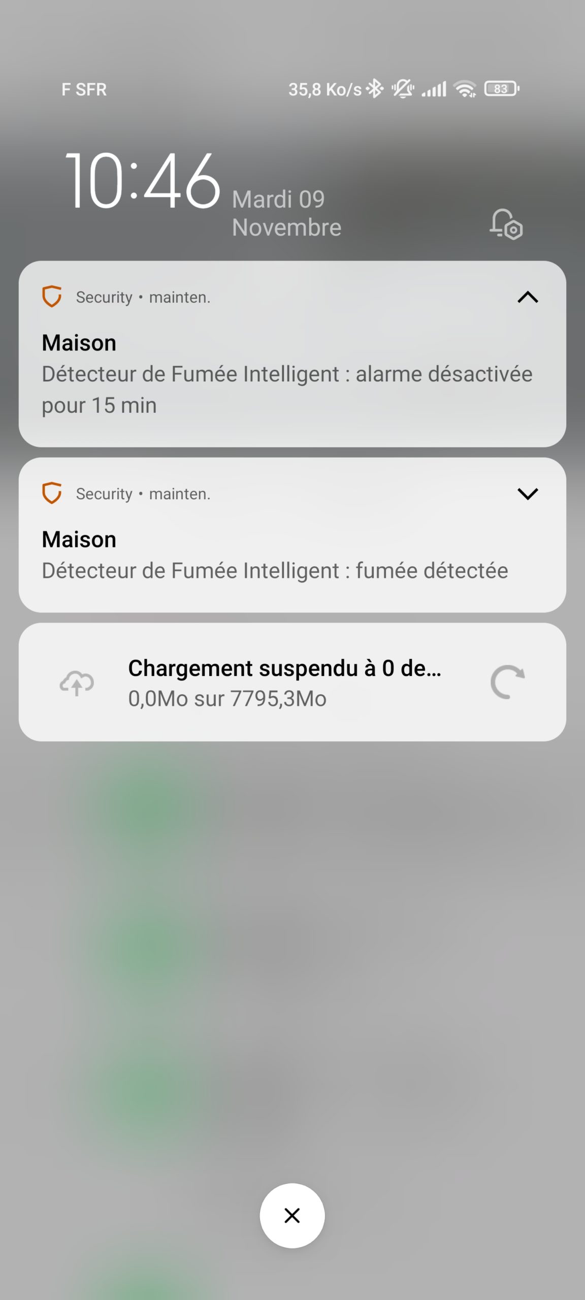 Netatmo DÉTECTEUR DE FUMÉE INTELLIGENT 2PACK