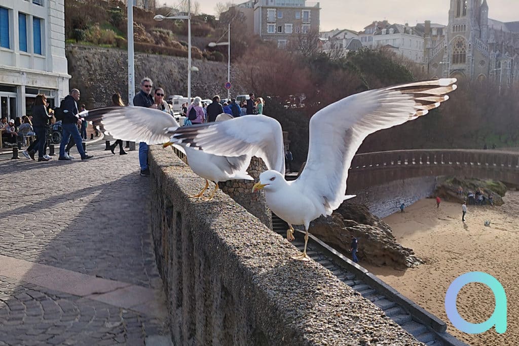 Exemple de photo avec le Poco X4 Pro 5G