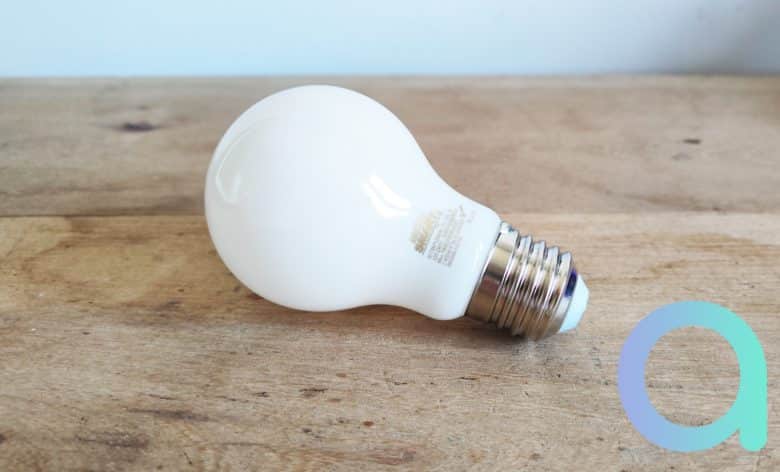 L'ampoule filament dépolie Nityam Smart est de type A60 et tout en verre