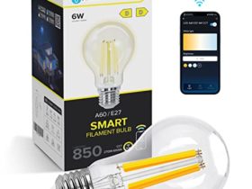 Aigostar Edison Ampoule Connectée WiFi E27 6W Ampoules Vintage Intelligente LED A60 Ampoule Alexa Retro, Compatible avec Alexa et Google Home, Ampoule WiFi Dimmable 2700K-6500K, Transparent 1 PCS