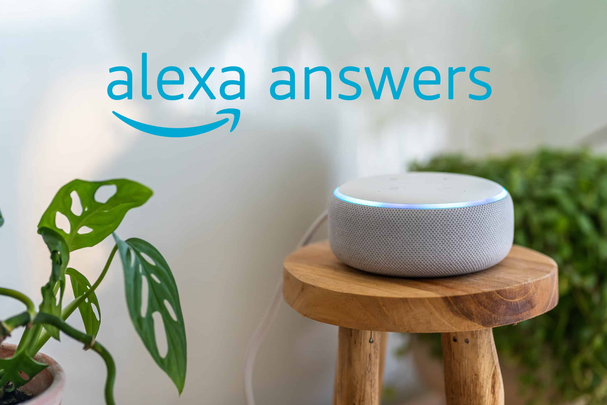Amazon ouvre sa plateforme Alexa Answers en France – Les Alexiens