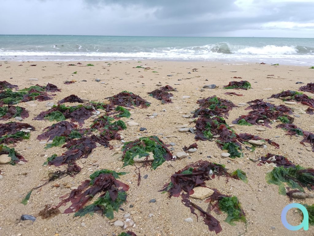 Photo de la plage prise par le smartphone en mode paysage