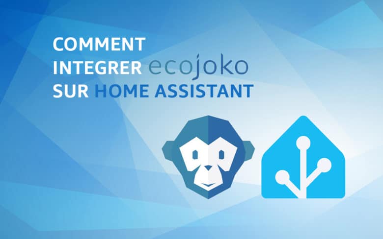 Comment suivre sa consommation électrique avec Ecojoko sous Home Assistant