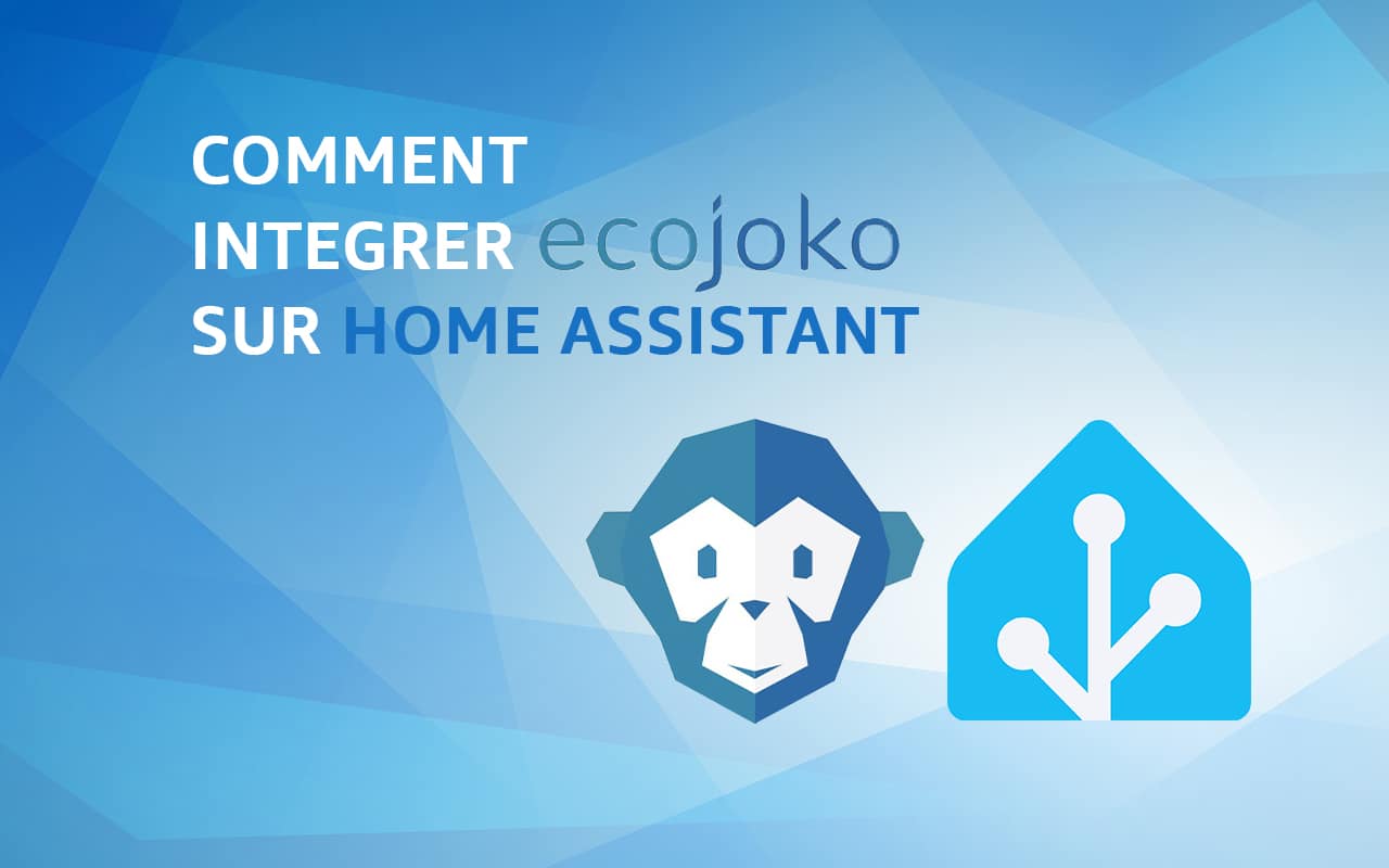 Comment intégrer Ecojoko sur Home Assistant pour suivre sa