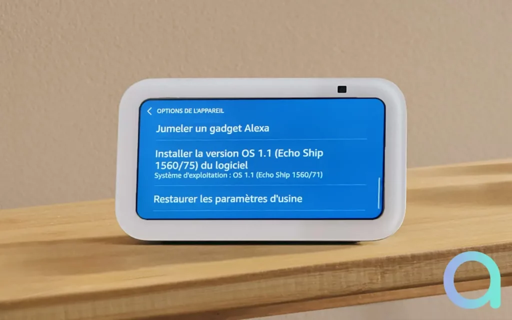 Echo Ship semble être une version 1.0 de Vega OS