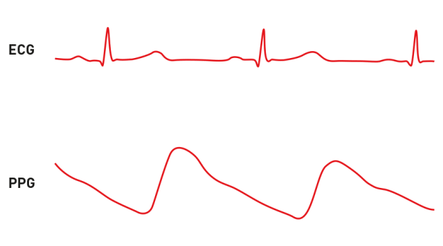 Différence entre mesure PPG d'un capteur FC optique et mesure ECG d'une ceinture cardio